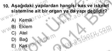 Ev Kazaları ve İlk Yardım Dersi 2013 - 2014 Yılı (Vize) Ara Sınav Soruları 10. Soru