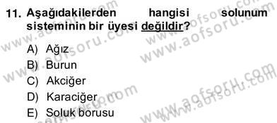 Ev Kazaları ve İlk Yardım Dersi 2013 - 2014 Yılı (Vize) Ara Sınav Soruları 11. Soru