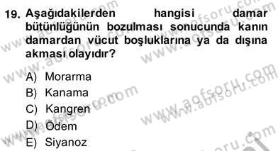 Ev Kazaları ve İlk Yardım Dersi 2013 - 2014 Yılı (Vize) Ara Sınav Soruları 19. Soru