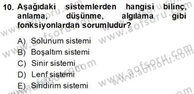 Ev Kazaları ve İlk Yardım Dersi 2014 - 2015 Yılı (Vize) Ara Sınav Soruları 10. Soru
