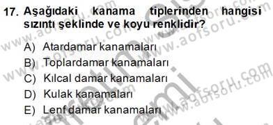 Ev Kazaları ve İlk Yardım Dersi 2014 - 2015 Yılı (Vize) Ara Sınav Soruları 17. Soru