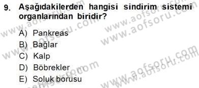 Ev Kazaları ve İlk Yardım Dersi 2014 - 2015 Yılı (Vize) Ara Sınav Soruları 9. Soru