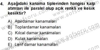 Ev Kazaları ve İlk Yardım Dersi 2014 - 2015 Yılı (Final) Dönem Sonu Sınav Soruları 4. Soru