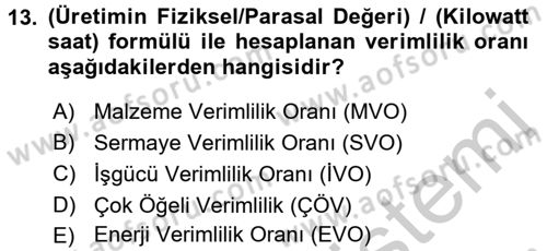 Verimlilik Yönetimi Dersi 2016 - 2017 Yılı (Vize) Ara Sınavı 13. Soru