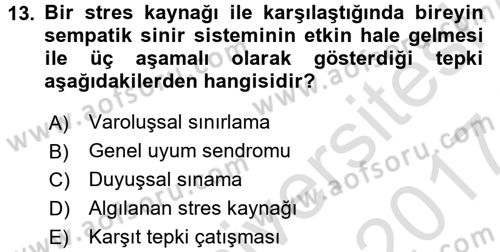 Verimlilik Yönetimi Dersi 2016 - 2017 Yılı (Final) Dönem Sonu Sınav Soruları 13. Soru