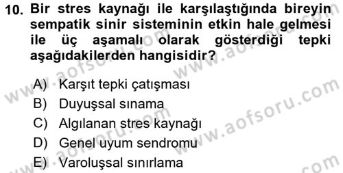 Verimlilik Yönetimi Dersi 2017 - 2018 Yılı 3 Ders Sınavı 10. Soru