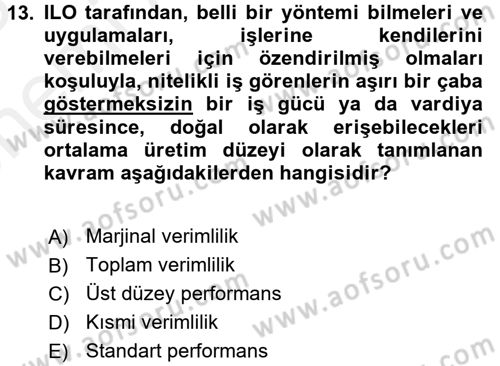 Verimlilik Yönetimi Dersi 2017 - 2018 Yılı (Vize) Ara Sınav Soruları 13. Soru