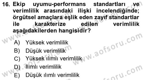 Verimlilik Yönetimi Dersi 2018 - 2019 Yılı (Final) Dönem Sonu Sınav Soruları 16. Soru