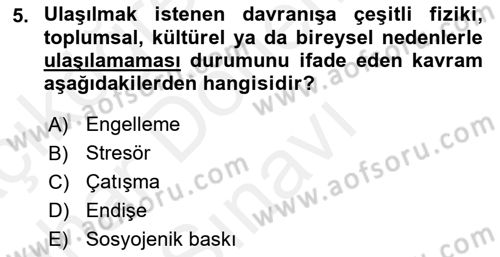 Verimlilik Yönetimi Dersi 2018 - 2019 Yılı (Final) Dönem Sonu Sınav Soruları 5. Soru