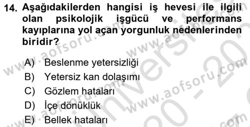 Verimlilik Yönetimi Dersi 2020 - 2021 Yılı Yaz Okulu Sınav Soruları 14. Soru