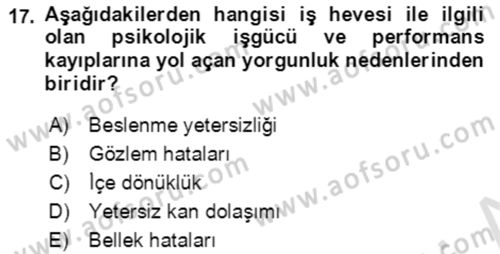 Verimlilik Yönetimi Dersi 2021 - 2022 Yılı (Vize) Ara Sınavı 17. Soru