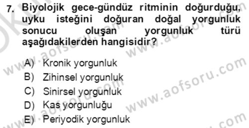 Verimlilik Yönetimi Dersi 2022 - 2023 Yılı Yaz Okulu Sınav Soruları 7. Soru