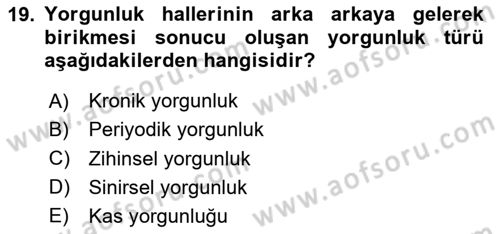 Verimlilik Yönetimi Dersi 2023 - 2024 Yılı (Vize) Ara Sınavı 19. Soru