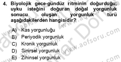 Verimlilik Yönetimi Dersi 2023 - 2024 Yılı (Final) Dönem Sonu Sınav Soruları 4. Soru