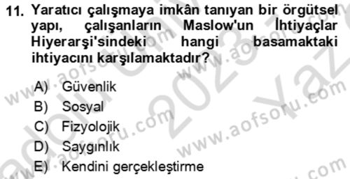 Verimlilik Yönetimi Dersi 2023 - 2024 Yılı Yaz Okulu Sınav Soruları 11. Soru
