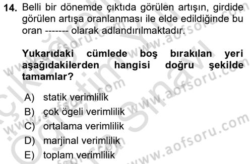 Verimlilik Yönetimi Dersi 2024 - 2025 Yılı (Vize) Ara Sınav Soruları 14. Soru