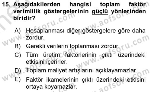 Verimlilik Yönetimi Dersi 2024 - 2025 Yılı (Vize) Ara Sınav Soruları 15. Soru