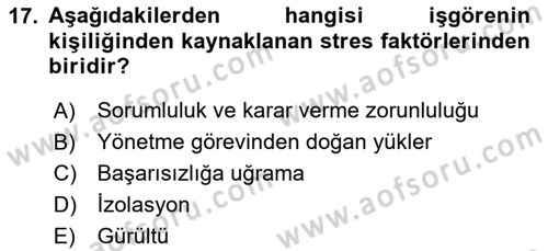 Verimlilik Yönetimi Dersi 2024 - 2025 Yılı (Vize) Ara Sınav Soruları 17. Soru