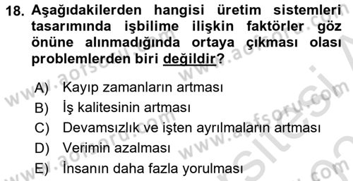 Verimlilik Yönetimi Dersi 2024 - 2025 Yılı (Vize) Ara Sınav Soruları 18. Soru