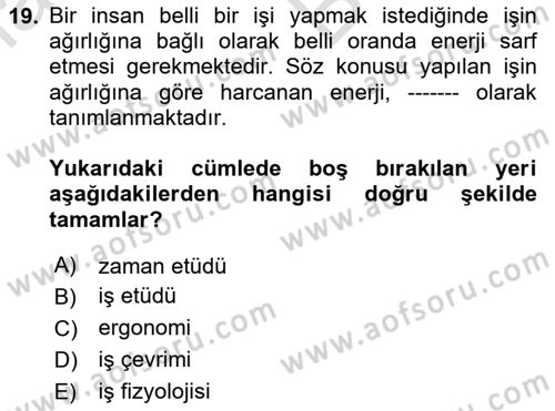 Verimlilik Yönetimi Dersi 2024 - 2025 Yılı (Vize) Ara Sınav Soruları 19. Soru