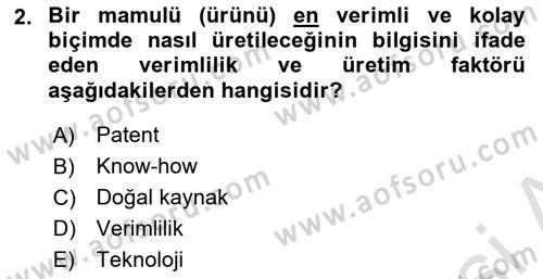 Verimlilik Yönetimi Dersi 2024 - 2025 Yılı (Vize) Ara Sınav Soruları 2. Soru