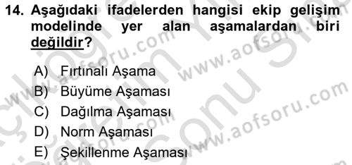 Verimlilik Yönetimi Dersi 2024 - 2025 Yılı (Final) Dönem Sonu Sınav Soruları 14. Soru