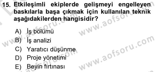Verimlilik Yönetimi Dersi 2024 - 2025 Yılı (Final) Dönem Sonu Sınav Soruları 15. Soru
