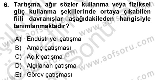 Verimlilik Yönetimi Dersi 2024 - 2025 Yılı (Final) Dönem Sonu Sınav Soruları 6. Soru