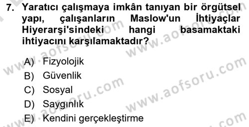 Verimlilik Yönetimi Dersi 2024 - 2025 Yılı (Final) Dönem Sonu Sınav Soruları 7. Soru
