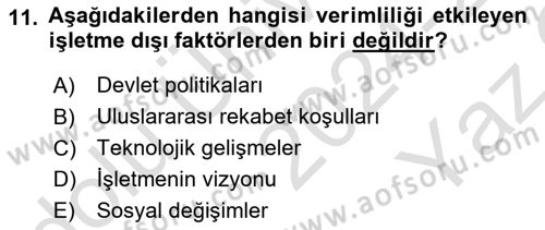 Verimlilik Yönetimi Dersi 2024 - 2025 Yılı Yaz Okulu Sınav Soruları 11. Soru