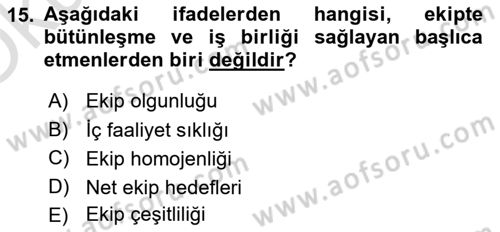 Verimlilik Yönetimi Dersi 2024 - 2025 Yılı Yaz Okulu Sınav Soruları 15. Soru