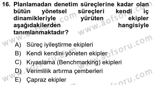 Verimlilik Yönetimi Dersi 2024 - 2025 Yılı Yaz Okulu Sınav Soruları 16. Soru