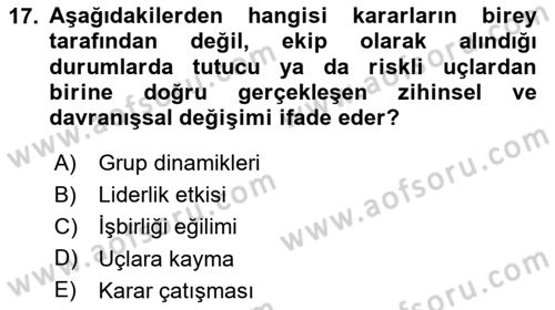 Verimlilik Yönetimi Dersi 2024 - 2025 Yılı Yaz Okulu Sınav Soruları 17. Soru