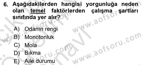 Verimlilik Yönetimi Dersi 2024 - 2025 Yılı Yaz Okulu Sınav Soruları 6. Soru