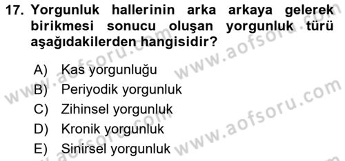 Verimlilik Yönetimi Dersi 2025 - 2026 Yılı (Vize) Ara Sınav Soruları 17. Soru