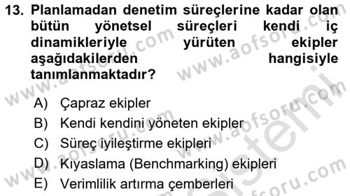 Verimlilik Yönetimi Dersi 2025 - 2026 Yılı (Final) Dönem Sonu Sınav Soruları 13. Soru