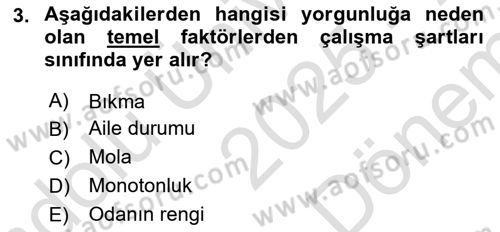 Verimlilik Yönetimi Dersi 2025 - 2026 Yılı (Final) Dönem Sonu Sınav Soruları 3. Soru