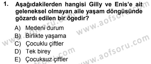 Aile İçi Uyumlu Etkileşim Dersi 2012 - 2013 Yılı (Final) Dönem Sonu Sınav Soruları 1. Soru