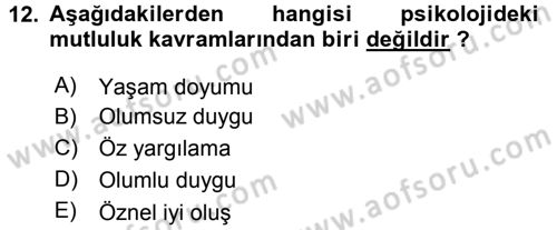 Aile İçi Uyumlu Etkileşim Dersi 2016 - 2017 Yılı (Final) Dönem Sonu Sınav Soruları 12. Soru