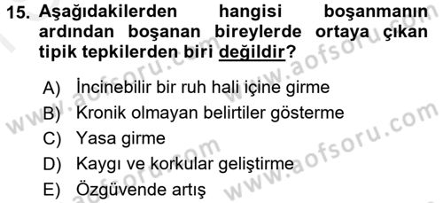 Aile İçi Uyumlu Etkileşim Dersi 2016 - 2017 Yılı (Final) Dönem Sonu Sınav Soruları 15. Soru