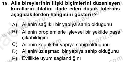 Aile İçi Uyumlu Etkileşim Dersi 2017 - 2018 Yılı 3 Ders Sınav Soruları 15. Soru
