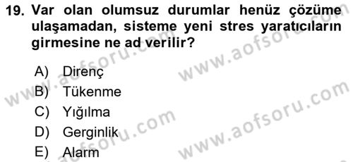 Aile İçi Uyumlu Etkileşim Dersi 2023 - 2024 Yılı (Vize) Ara Sınav Soruları 19. Soru