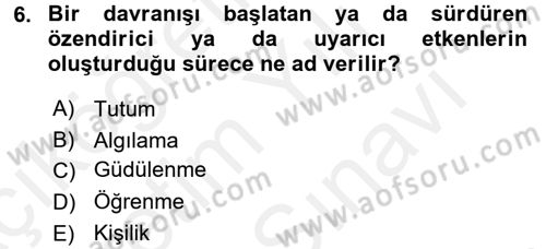 Tüketim Bilinci ve Bilinçli Tüketici Dersi 2017 - 2018 Yılı (Vize) Ara Sınav Soruları 6. Soru