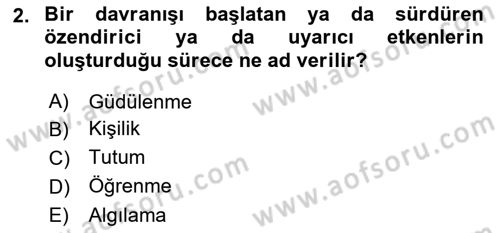 Tüketim Bilinci ve Bilinçli Tüketici Dersi 2023 - 2024 Yılı (Final) Dönem Sonu Sınav Soruları 2. Soru