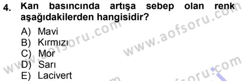 Giysi Seçimi Dersi 2012 - 2013 Yılı (Final) Dönem Sonu Sınav Soruları 4. Soru