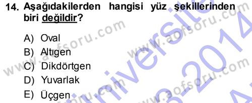 Giysi Seçimi Dersi 2013 - 2014 Yılı (Vize) Ara Sınav Soruları 14. Soru