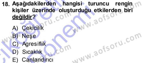 Giysi Seçimi Dersi 2013 - 2014 Yılı (Vize) Ara Sınav Soruları 18. Soru