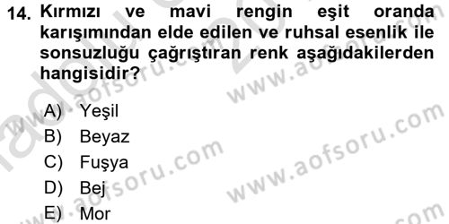 Giysi Seçimi Dersi 2016 - 2017 Yılı (Vize) Ara Sınavı 14. Soru