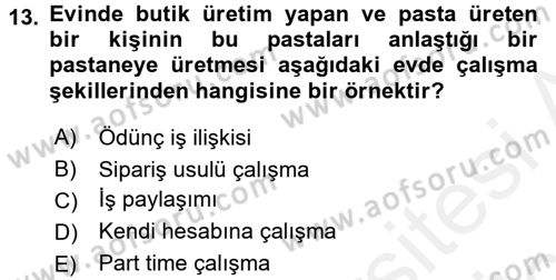 Ev Endüstrisi Dersi 2017 - 2018 Yılı 3 Ders Sınav Soruları 13. Soru