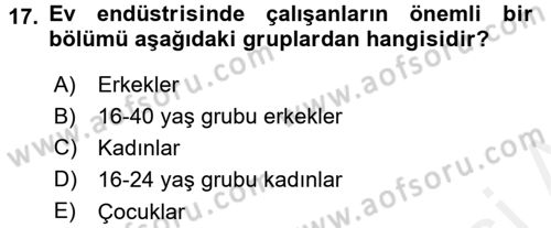 Ev Endüstrisi Dersi 2017 - 2018 Yılı (Final) Dönem Sonu Sınav Soruları 17. Soru